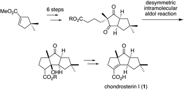Graphical abstract: Total synthesis of (±)-chondrosterin I using a desymmetric aldol reaction