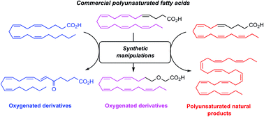 Graphical abstract: Synthetic manipulations of polyunsaturated fatty acids as a convenient strategy for the synthesis of bioactive compounds