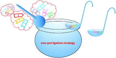 Graphical abstract: One-pot multi-segment condensation strategies for chemical protein synthesis