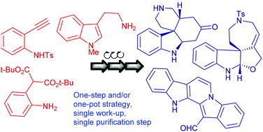 Graphical abstract: Cascade reaction based synthetic strategies targeting biologically intriguing indole polycycles