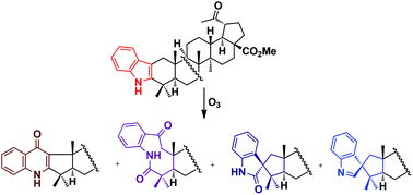 Graphical abstract: Synthesis of A-ring quinolones, nine-membered oxolactams and spiroindoles by oxidative transformations of 2,3-indolotriterpenoids