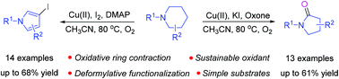 Graphical abstract: Selective synthesis of pyrrolidin-2-ones and 3-iodopyrroles via the ring contraction and deformylative functionalization of piperidine derivatives