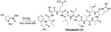 Graphical abstract: Solution-phase total synthesis of teixobactin