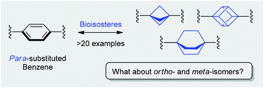 Graphical abstract: Saturated bioisosteres of benzene: where to go next?