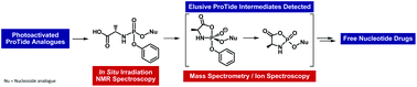 Graphical abstract: Reactive cyclic intermediates in the ProTide prodrugs activation: trapping the elusive pentavalent phosphorane