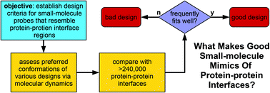 Graphical abstract: Design criteria for minimalist mimics of protein–protein interface segments