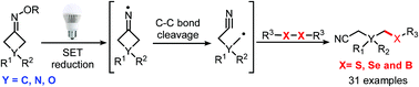 Graphical abstract: A photocatalytic sp3 C–S, C–Se and C–B bond formation through C–C bond cleavage of cycloketone oxime esters