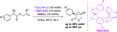 Graphical abstract: Iron-catalyzed asymmetric intramolecular cyclopropanation reactions using chiral tetramethyl-1,1′-spirobiindane-based bisoxazoline (TMSI-BOX) ligands