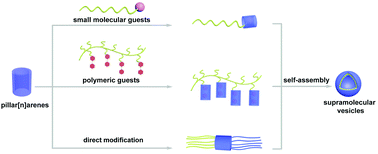 Graphical abstract: Supramolecular vesicles based on pillar[n]arenes: design, construction, and applications