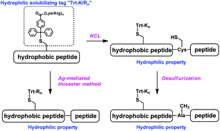 Graphical abstract: The versatile use of solubilizing trityl tags for difficult peptide/protein synthesis