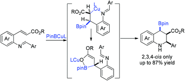 Graphical abstract: Stereoselective synthesis of all-cis boryl tetrahydroquinolines via copper-catalyzed regioselective addition/cyclization of o-aldiminyl cinnamate with B2Pin2