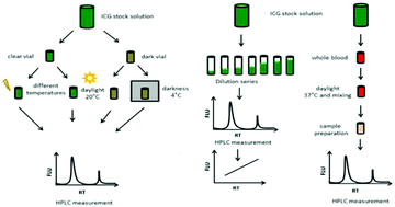 Graphical abstract: Stability and degradation of indocyanine green in plasma, aqueous solution and whole blood