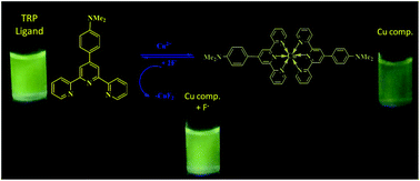 Graphical abstract: Chromo-luminescent selective detection of fluoride ions by a copper(ii) bis(terpyridine) complex solution via a displacement approach