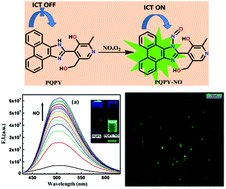 Graphical abstract: Selective sensing of nitric oxide by a 9,10-phenanthroquinone–pyridoxal based fluorophore