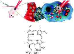 Graphical abstract: Mesoporous silica nanoparticles in recent photodynamic therapy applications