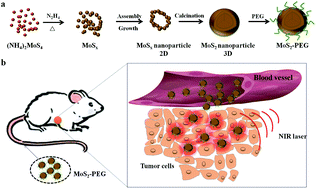 Graphical abstract: Bottom-up synthesis of MoS2 nanospheres for photothermal treatment of tumors