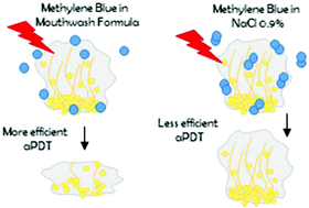 Graphical abstract: Controlling methylene blue aggregation: a more efficient alternative to treat Candida albicans infections using photodynamic therapy