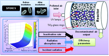 Graphical abstract: Photocatalytic inactivation of bioaerosols in a fixed-bed reactor with TiO2-coated glass rings