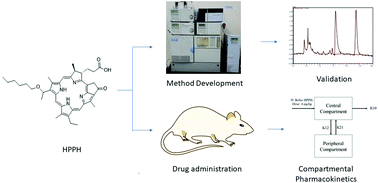 Graphical abstract: Pre-clinical compartmental pharmacokinetic modeling of 2-[1-hexyloxyethyl]-2-devinyl pyropheophorbide-a (HPPH) as a photosensitizer in rat plasma by validated HPLC method