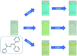 Graphical abstract: A visible chemosensor based on carbohydrazide for Fe(ii), Co(ii) and Cu(ii) in aqueous solution