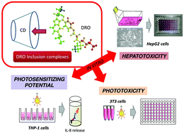Graphical abstract: Comparative evaluation of the hepatotoxicity, phototoxicity and photosensitizing potential of dronedarone hydrochloride and its cyclodextrin-based inclusion complexes