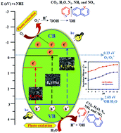 Graphical abstract: Mechanistic evaluation of heterocyclic aromatic compounds mineralization by a Cu doped ZnO photo-catalyst