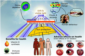 Graphical abstract: Human health in relation to exposure to solar ultraviolet radiation under changing stratospheric ozone and climate
