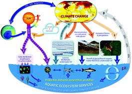 Graphical abstract: The interactive effects of stratospheric ozone depletion, UV radiation, and climate change on aquatic ecosystems