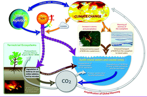 Graphical abstract: Solar UV radiation in a changing world: roles of cryosphere–land–water–atmosphere interfaces in global biogeochemical cycles