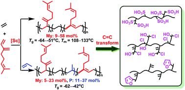 Graphical abstract: Scandium-catalyzed copolymerization of myrcene with ethylene and propylene: convenient syntheses of versatile functionalized polyolefins