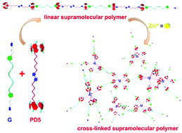 Graphical abstract: A dual-responsive cross-linked supramolecular polymer network gel: hierarchical supramolecular self-assembly driven by pillararene-based molecular recognition and metal–ligand interactions