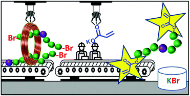 Graphical abstract: Macromonomers, telechelics and more complex architectures of PMA by a combination of biphasic SET-LRP and biphasic esterification