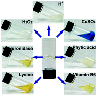 Graphical abstract: Dynamically crosslinked carbon dots/biopolymer hydrogels exhibiting fluorescence and multi-stimuli logic-gate responses