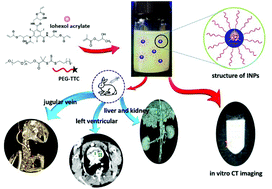 Graphical abstract: Polymerization-induced self-assembly of large-scale iohexol nanoparticles as contrast agents for X-ray computed tomography imaging