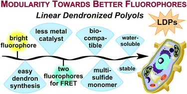 Graphical abstract: Linear dendronized polyols as a multifunctional platform for a versatile and efficient fluorophore design