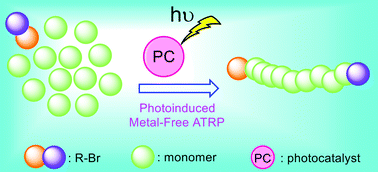 Graphical abstract: Photoinduced metal-free atom transfer radical polymerizations: state-of-the-art, mechanistic aspects and applications