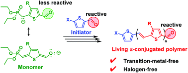 Graphical abstract: Transition-metal-free and halogen-free controlled synthesis of poly(3-alkylthienylene vinylene) via the Horner–Wadsworth–Emmons condensation reaction