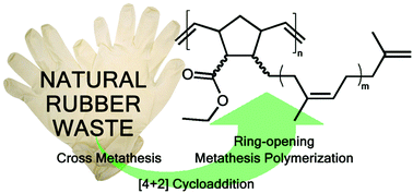 Graphical abstract: Converting natural rubber waste into ring-opening metathesis polymers with oligo-1,4-cis-isoprene sidechains