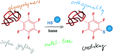 Graphical abstract: The para-fluoro-thiol reaction as an efficient tool in polymer chemistry