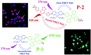 Graphical abstract: Color-tunable AIE-active conjugated polymer nanoparticles as drug carriers for self-indicating cancer therapy via intramolecular FRET mechanism