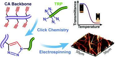 Graphical abstract: Temperature-responsive fibres of cellulose-based copolymers