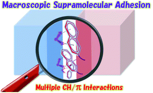 Graphical abstract: Exploiting CH/π interactions in robust supramolecular adhesives