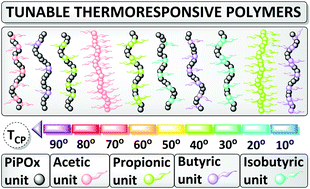 Graphical abstract: Poly(2-isopropenyl-2-oxazoline) as a versatile platform towards thermoresponsive copolymers