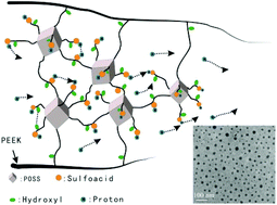 Graphical abstract: Facile one-step fabrication of sulfonated polyhedral oligomeric silsesquioxane cross-linked poly(ether ether ketone) for proton exchange membranes