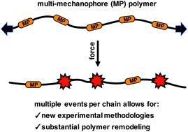 Graphical abstract: Empowering mechanochemistry with multi-mechanophore polymer architectures