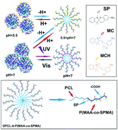 Graphical abstract: Light- and pH-dually responsive dendrimer-star copolymer containing spiropyran groups: synthesis, self-assembly and controlled drug release