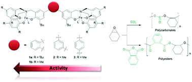 Graphical abstract: Dinuclear iron(iii) complexes bearing phenylene-bridged bis(amino triphenolate) ligands as catalysts for the copolymerization of cyclohexene oxide with carbon dioxide or phthalic anhydride