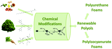 Graphical abstract: Renewable polyols for advanced polyurethane foams from diverse biomass resources