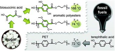 Graphical abstract: Aromatic polyesters from biosuccinic acid
