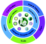 Graphical abstract: Preparation and application of flavor and fragrance capsules